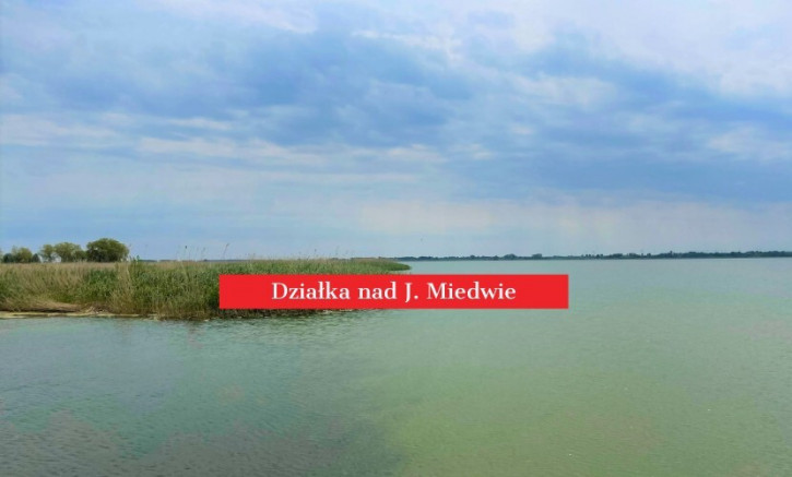 Działka Sprzedaż Wierzbno 14