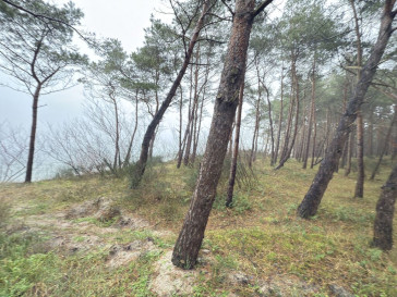 Mieszkanie Sprzedaż Międzywodzie Westerplatte
