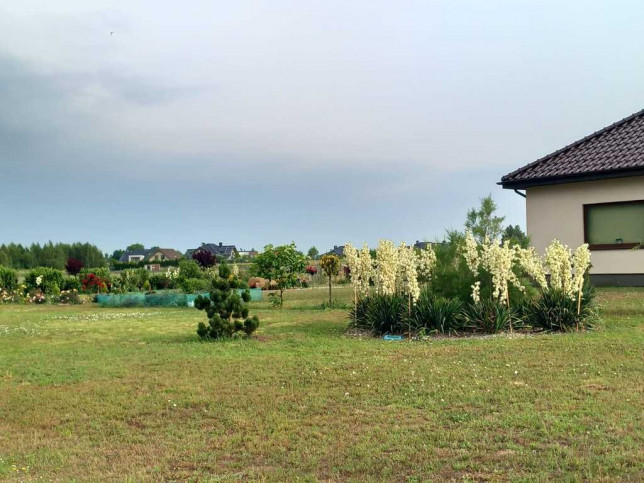 Dom Sprzedaż Radziszewo 17