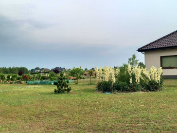 Dom Sprzedaż Radziszewo