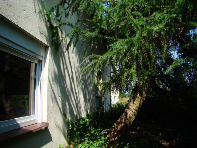 Działka Sprzedaż Kobylanka 8