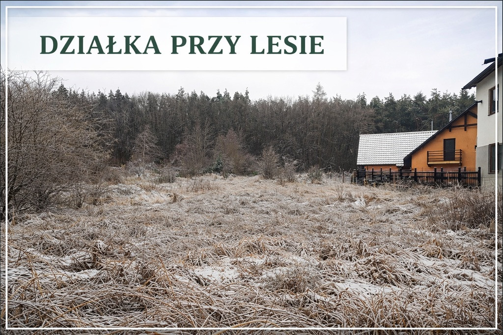 Działka Sprzedaż Pilchowo