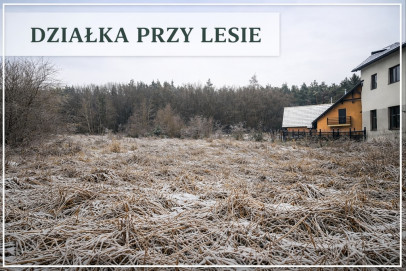 Działka Sprzedaż Pilchowo