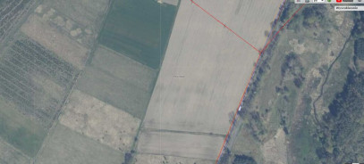 Działka Sprzedaż Trzechel