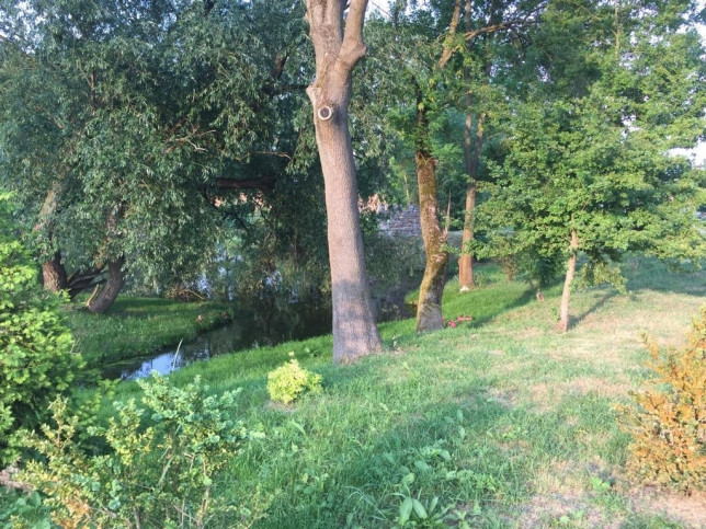 Mieszkanie Wynajem Skarbimierzyce 16