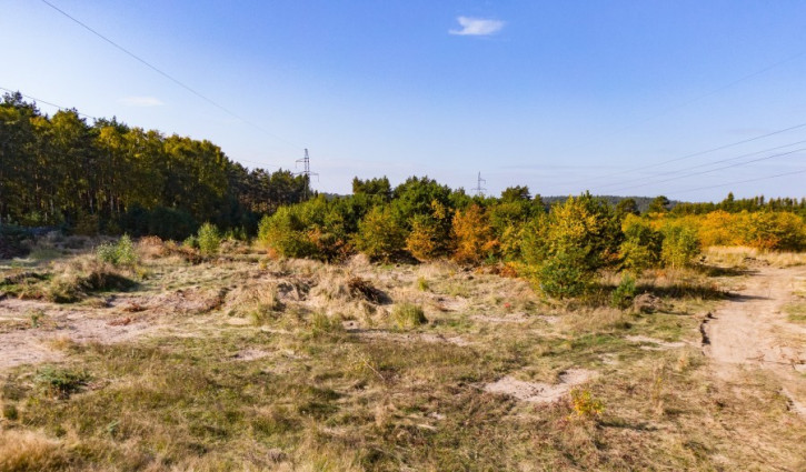 Działka Sprzedaż Dargobądz 6
