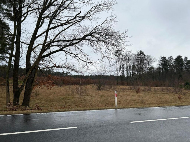 Działka Sprzedaż Brzózki 6