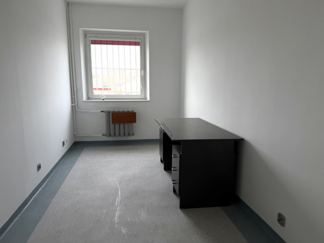 Lokal Wynajem Szczecin Centrum 2