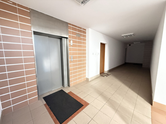 Mieszkanie Wynajem Szczecin Śródmieście-Centrum Plac Stefana Batorego 19