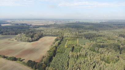 Działka Sprzedaż Rów