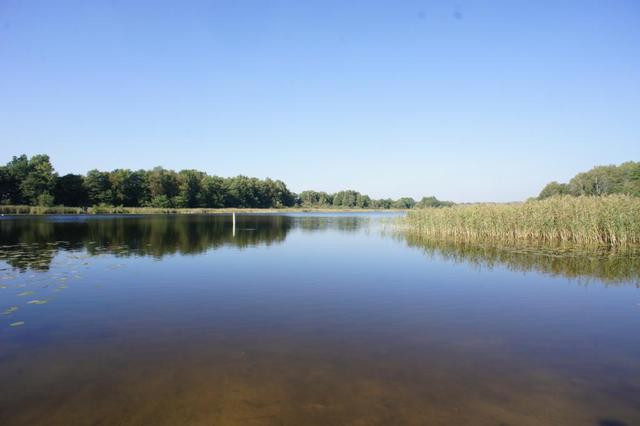 Działka Sprzedaż Dobra 2