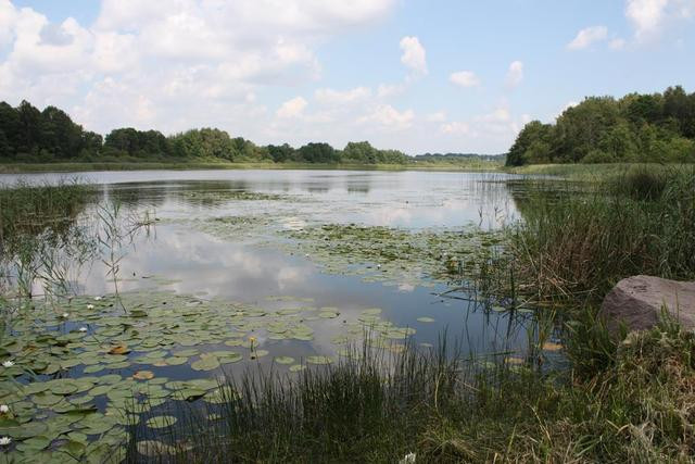 Działka Sprzedaż Dobra 9