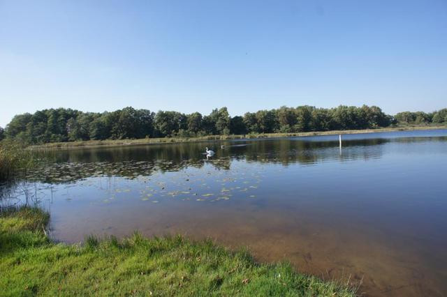 Działka Sprzedaż Dobra 15