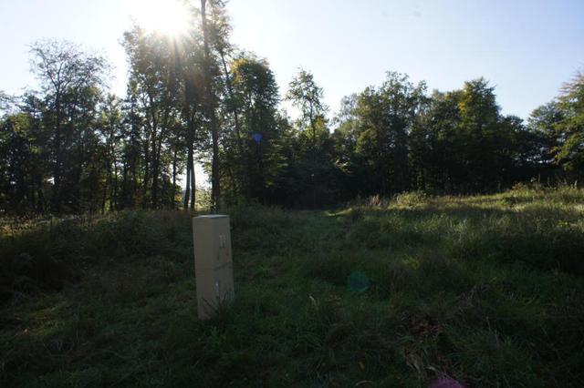 Działka Sprzedaż Dobra 17