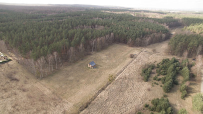 Działka Sprzedaż Szczecin Płonia