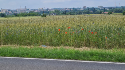 Działka Sprzedaż Stargard