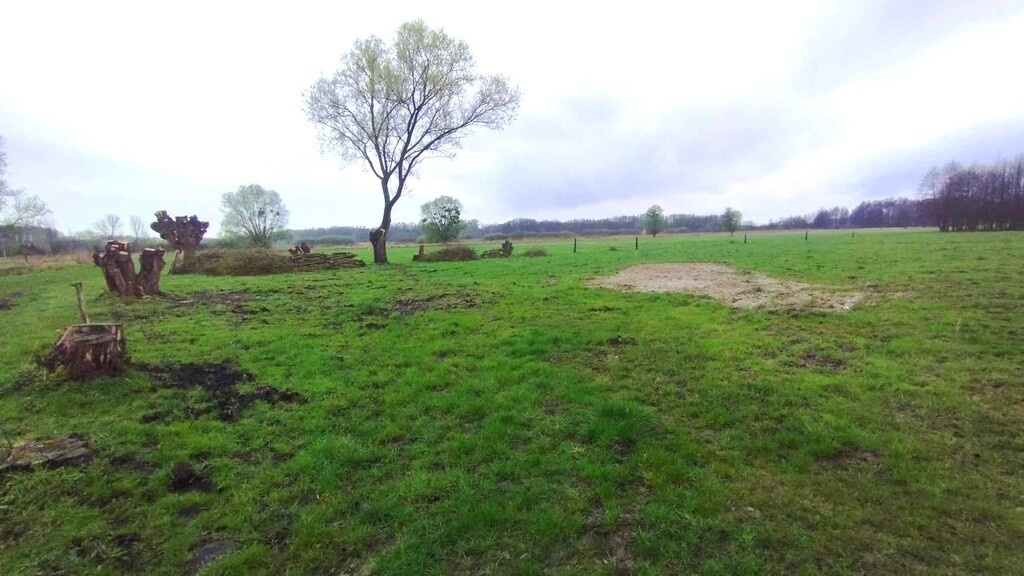 Działka Sprzedaż Dobropole Gryfińskie