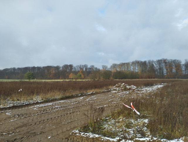 Działka Sprzedaż Dobropole Gryfińskie 5