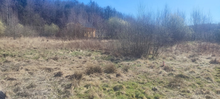 Działka Sprzedaż Linówko 4