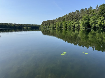 Dom Sprzedaż Danków