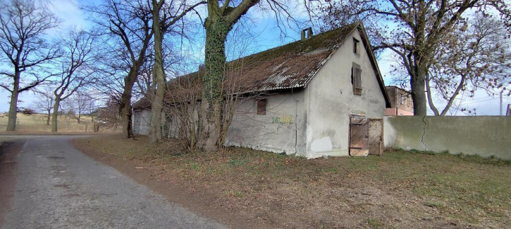 Obiekt Sprzedaż Budno 4