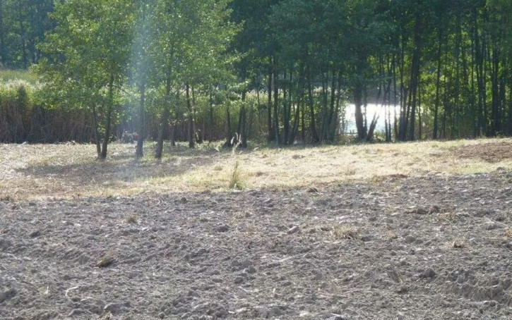 Działka Sprzedaż Zieleniewo 4