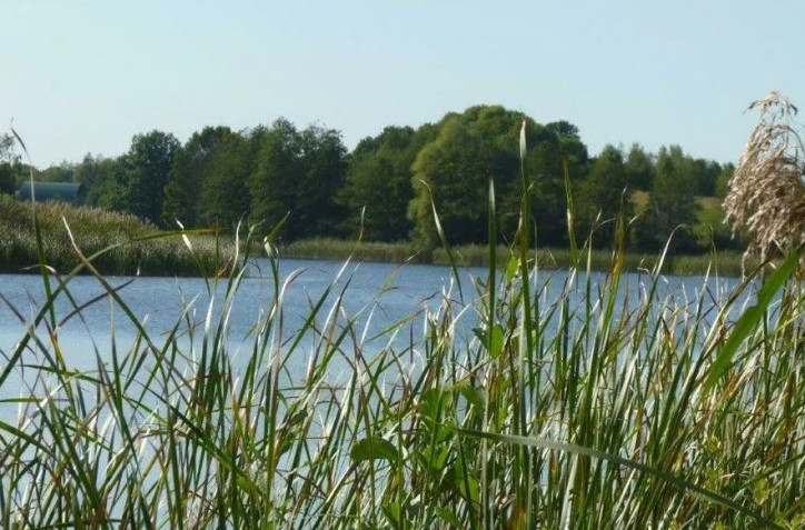 Działka Sprzedaż Zieleniewo 6
