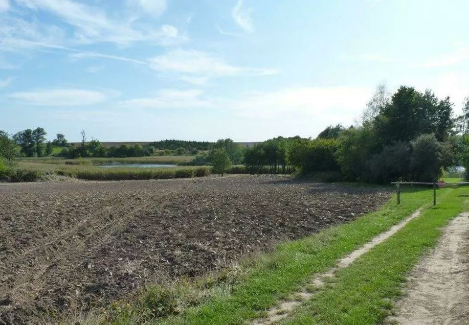 Działka Sprzedaż Zieleniewo