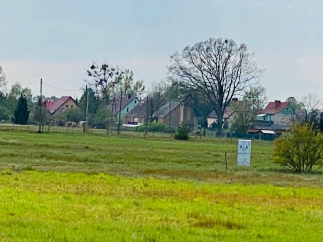 Działka Sprzedaż Miłowo 1