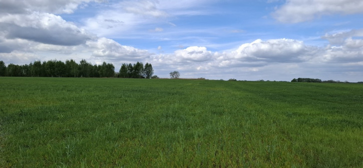 Działka Sprzedaż Bagna 2