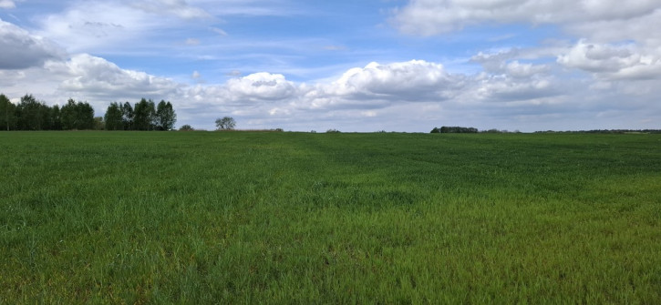 Działka Sprzedaż Bagna 4