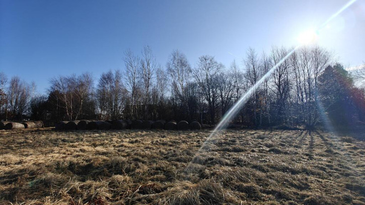 Działka Sprzedaż Koszalin Łabusz Wilków Morskich 8