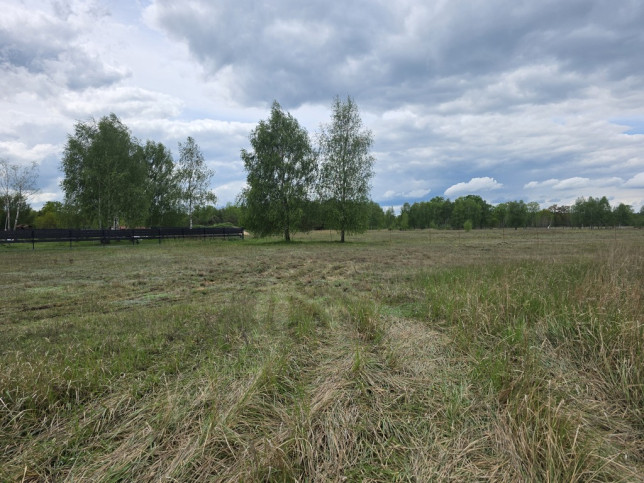 Działka Sprzedaż Grzepnica 3