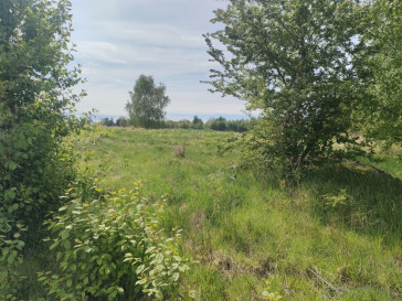 Działka Sprzedaż Lędzin