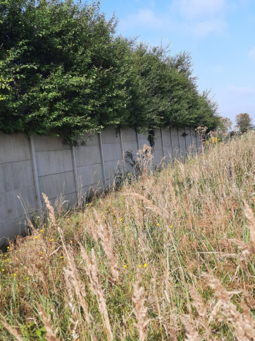 Działka Sprzedaż Kurów Na Klifie 15