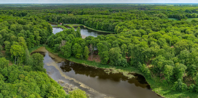 Działka Sprzedaż Wisławie