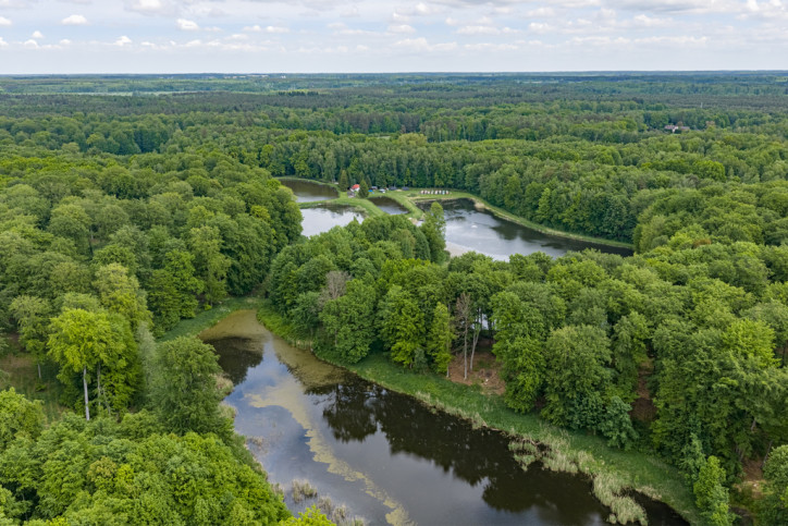 Działka Sprzedaż Wisławie 6
