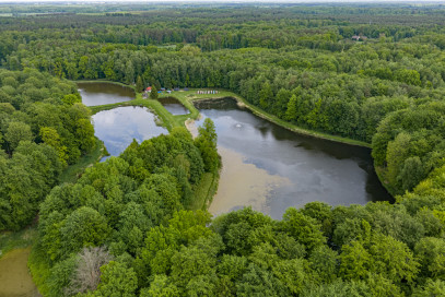 Działka Sprzedaż Wisławie