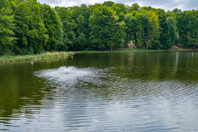 Działka Sprzedaż Wisławie