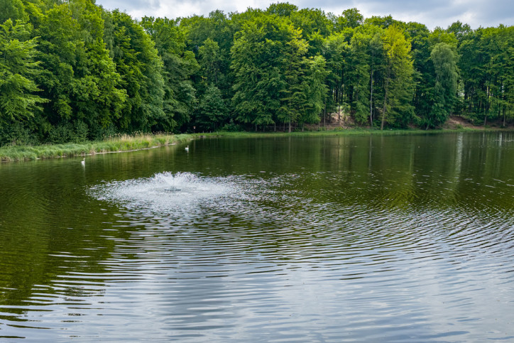 Działka Sprzedaż Wisławie 12