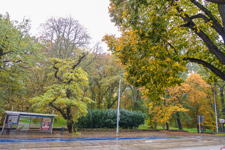 Mieszkanie Sprzedaż Szczecin Śródmieście Jacka Malczewskiego 43