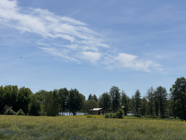 Działka Sprzedaż Babin 3