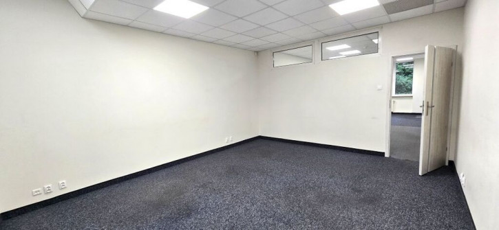 Lokal Wynajem Szczecin Śródmieście-Centrum 6