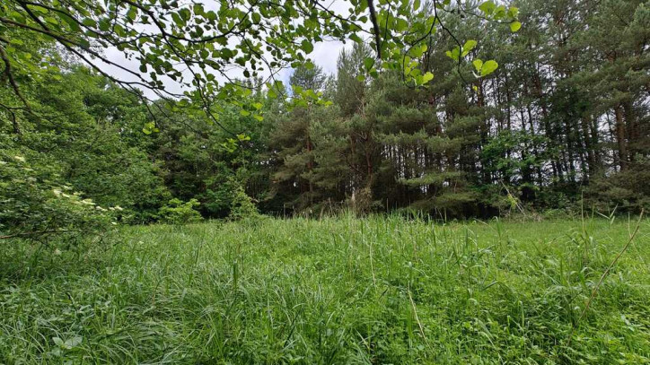 Działka Sprzedaż Nowogard 24