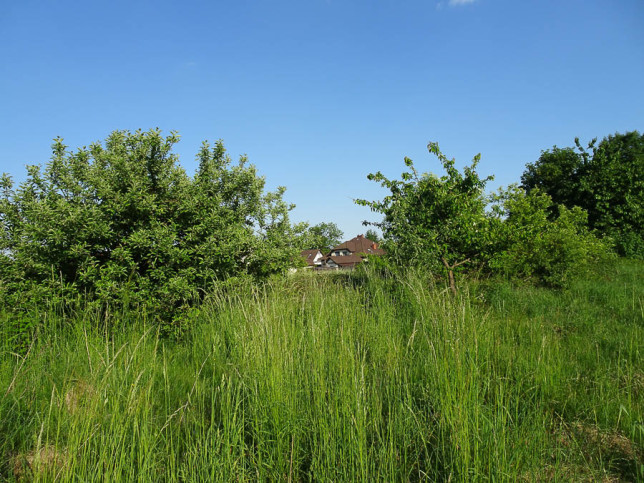 Działka Sprzedaż Binowo 13