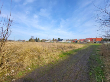 Działka Sprzedaż Koszewo