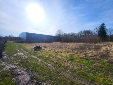 Działka Sprzedaż Koszewo