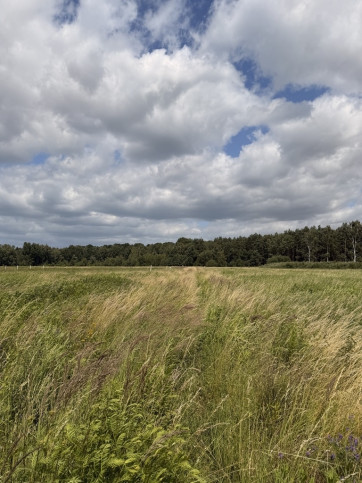 Działka Sprzedaż Niedźwiedź 6