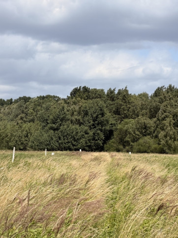 Działka Sprzedaż Niedźwiedź 5