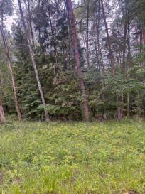 Działka Sprzedaż Piaseczno